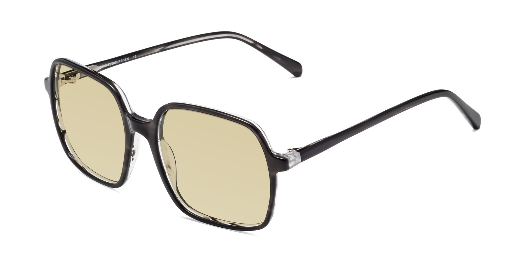 Angle of 1463 in Gray with Light Champagne Tinted Lenses