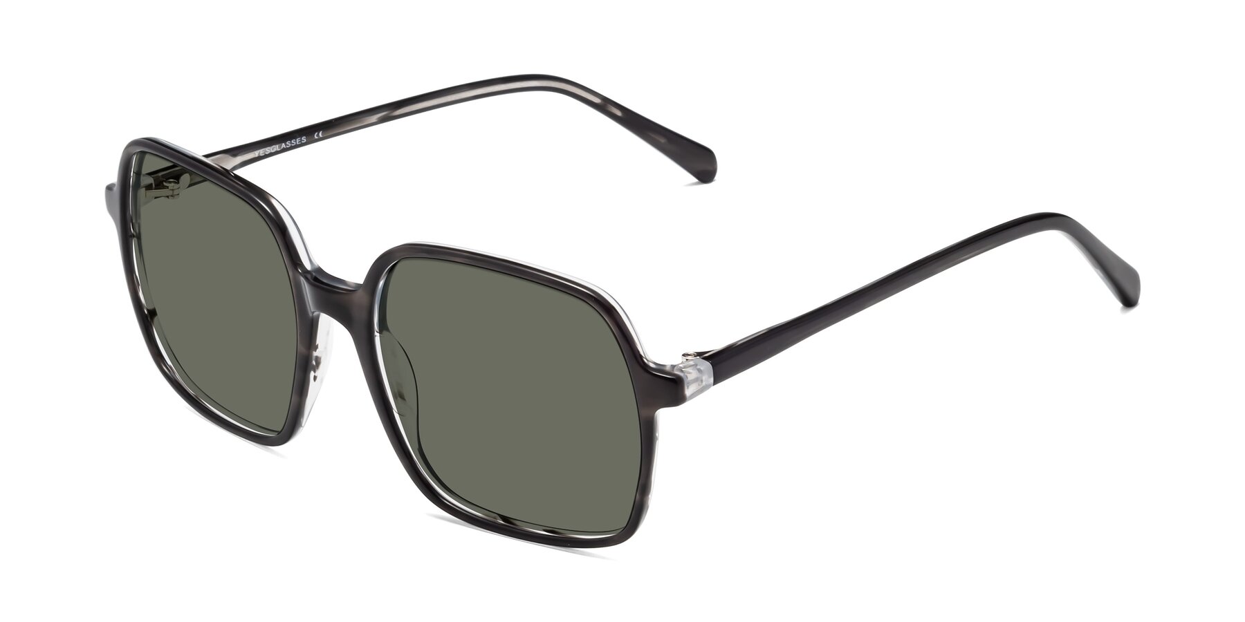 Angle of 1463 in Gray with Gray Polarized Lenses