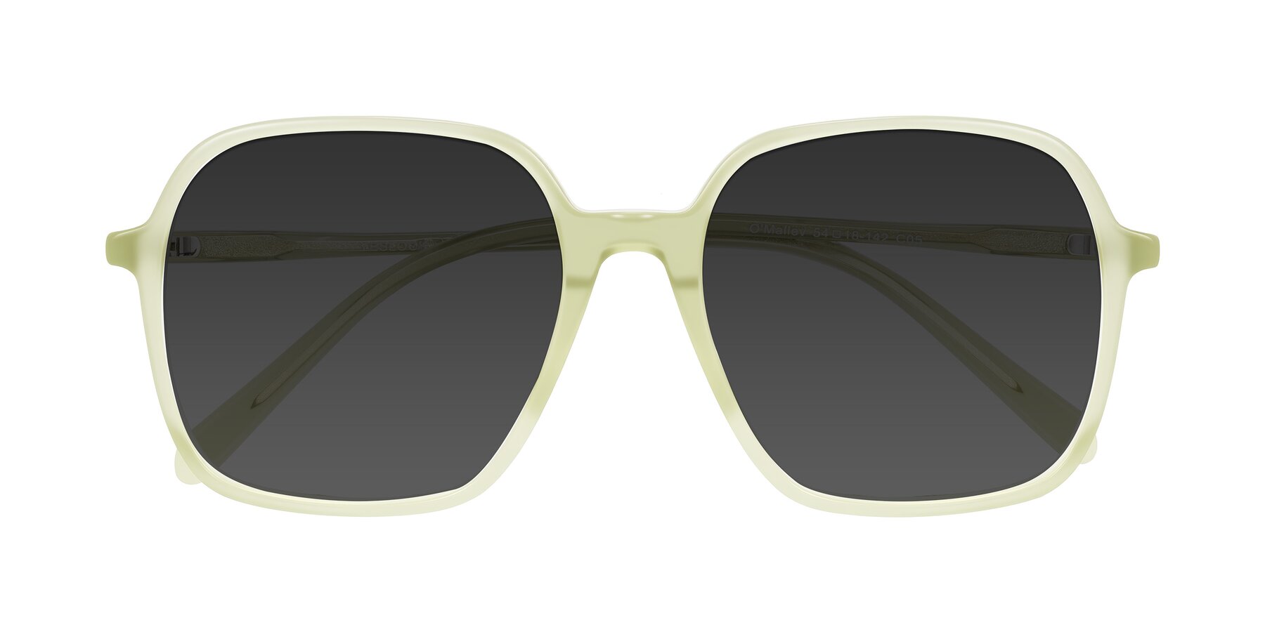 Folded Front of O'malley in Pastel Green with Gray Tinted Lenses