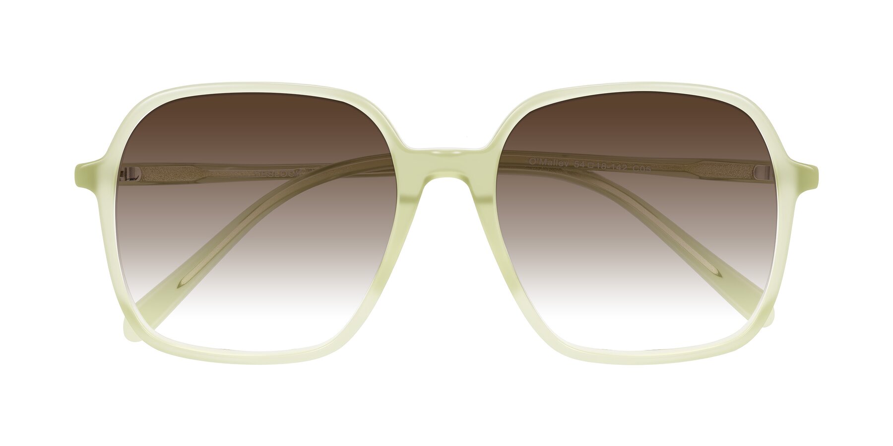 Folded Front of O'malley in Pastel Green with Brown Gradient Lenses