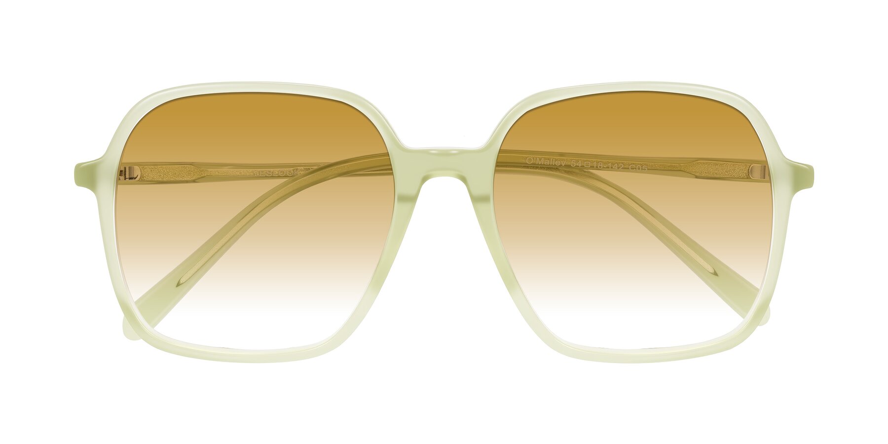 Folded Front of O'malley in Pastel Green with Champagne Gradient Lenses