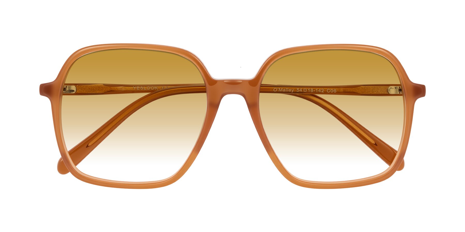 Folded Front of O'malley in Caramel with Champagne Gradient Lenses