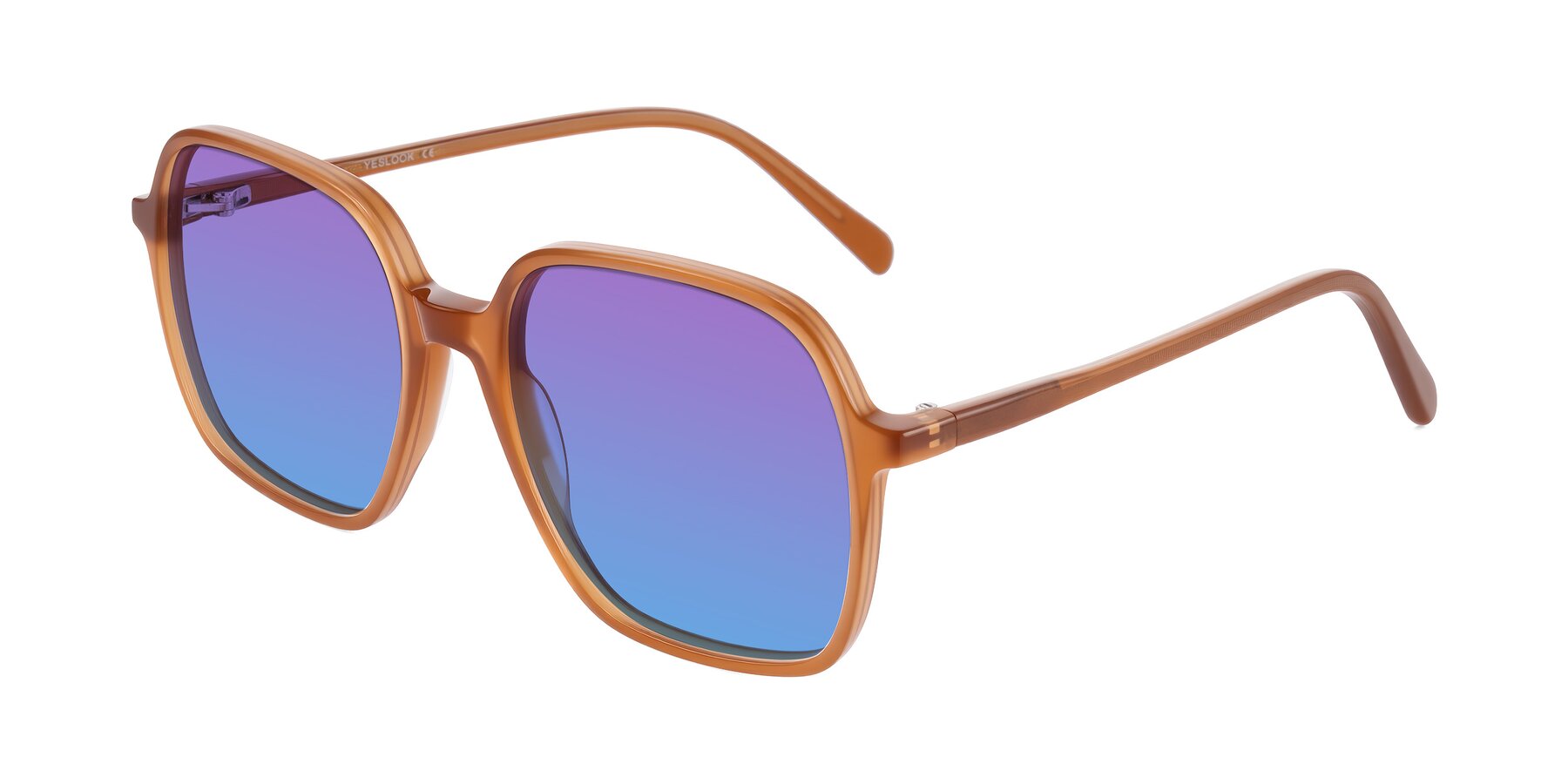 Angle of O'malley in Caramel with Purple / Blue Gradient Lenses