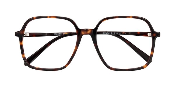 Front of O'malley in Tortoise