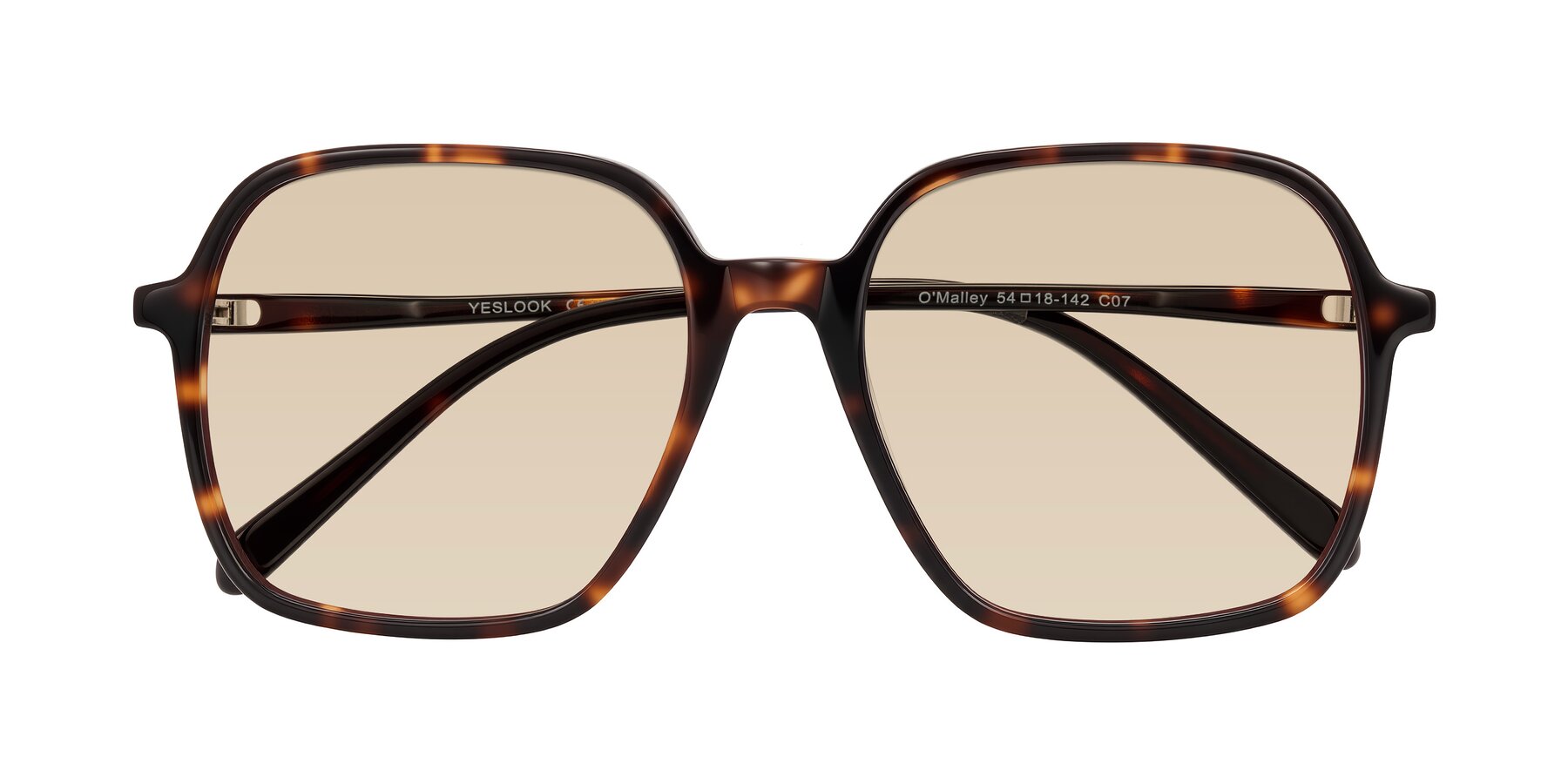 Folded Front of O'malley in Tortoise with Light Brown Tinted Lenses