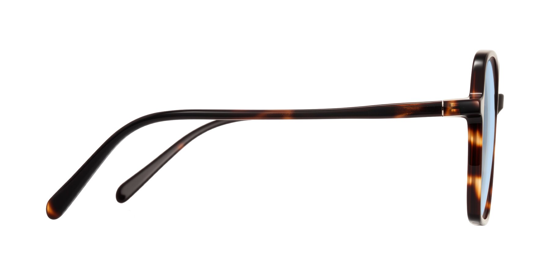 Side of O'malley in Tortoise with Light Blue Tinted Lenses