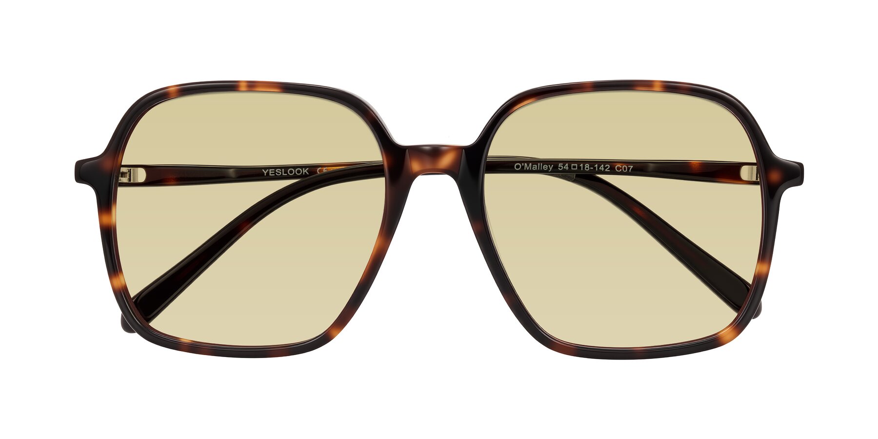 Folded Front of O'malley in Tortoise with Light Champagne Tinted Lenses