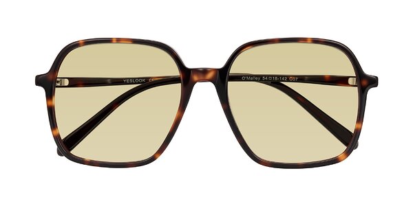 Front of O'malley in Tortoise