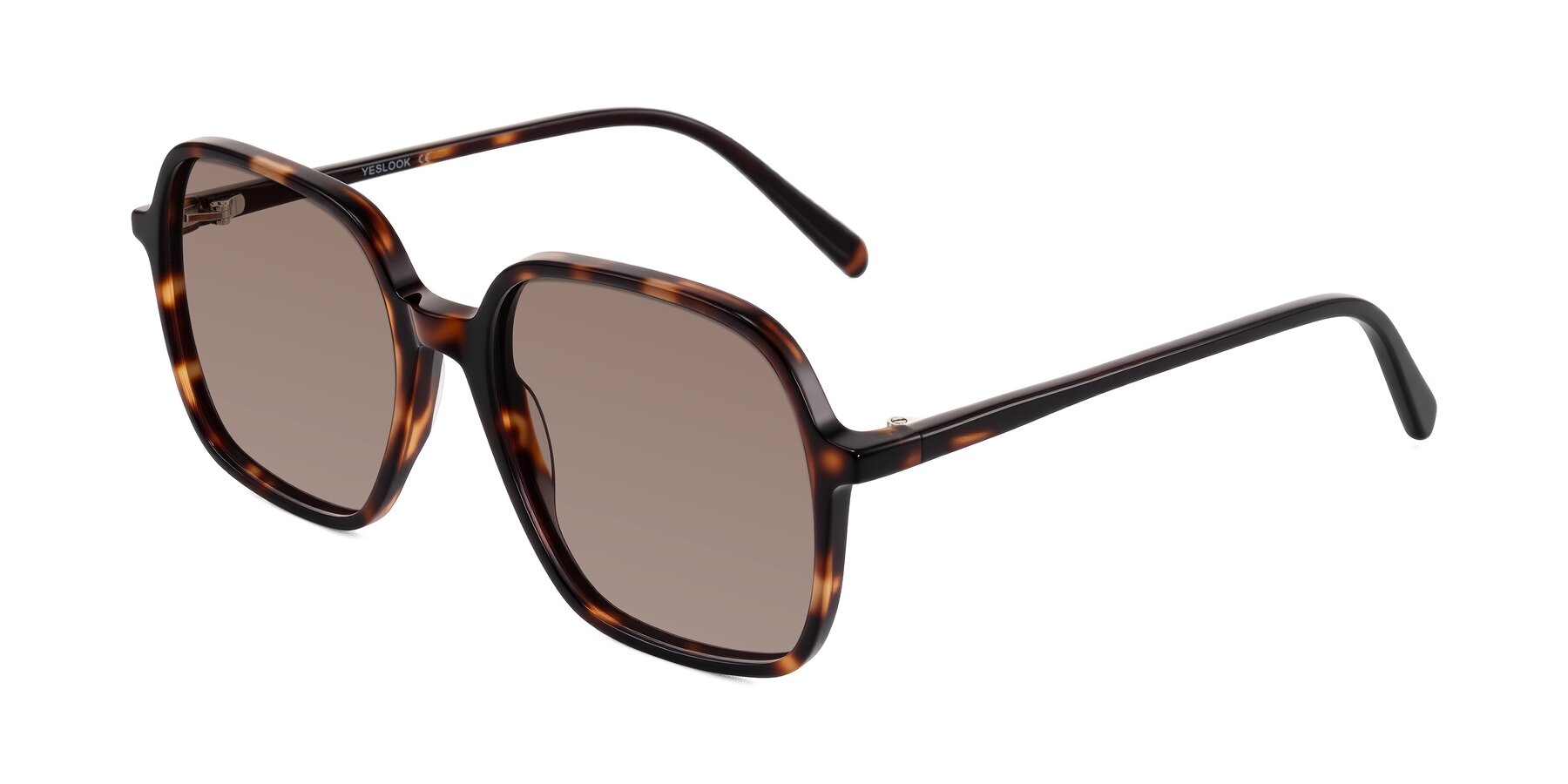 Angle of O'malley in Tortoise with Medium Brown Tinted Lenses