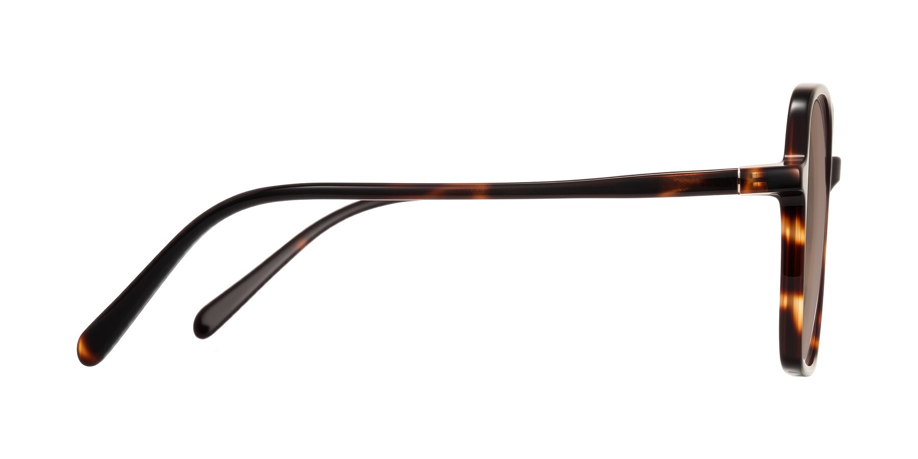 Side of O'malley in Tortoise with Medium Brown Tinted Lenses