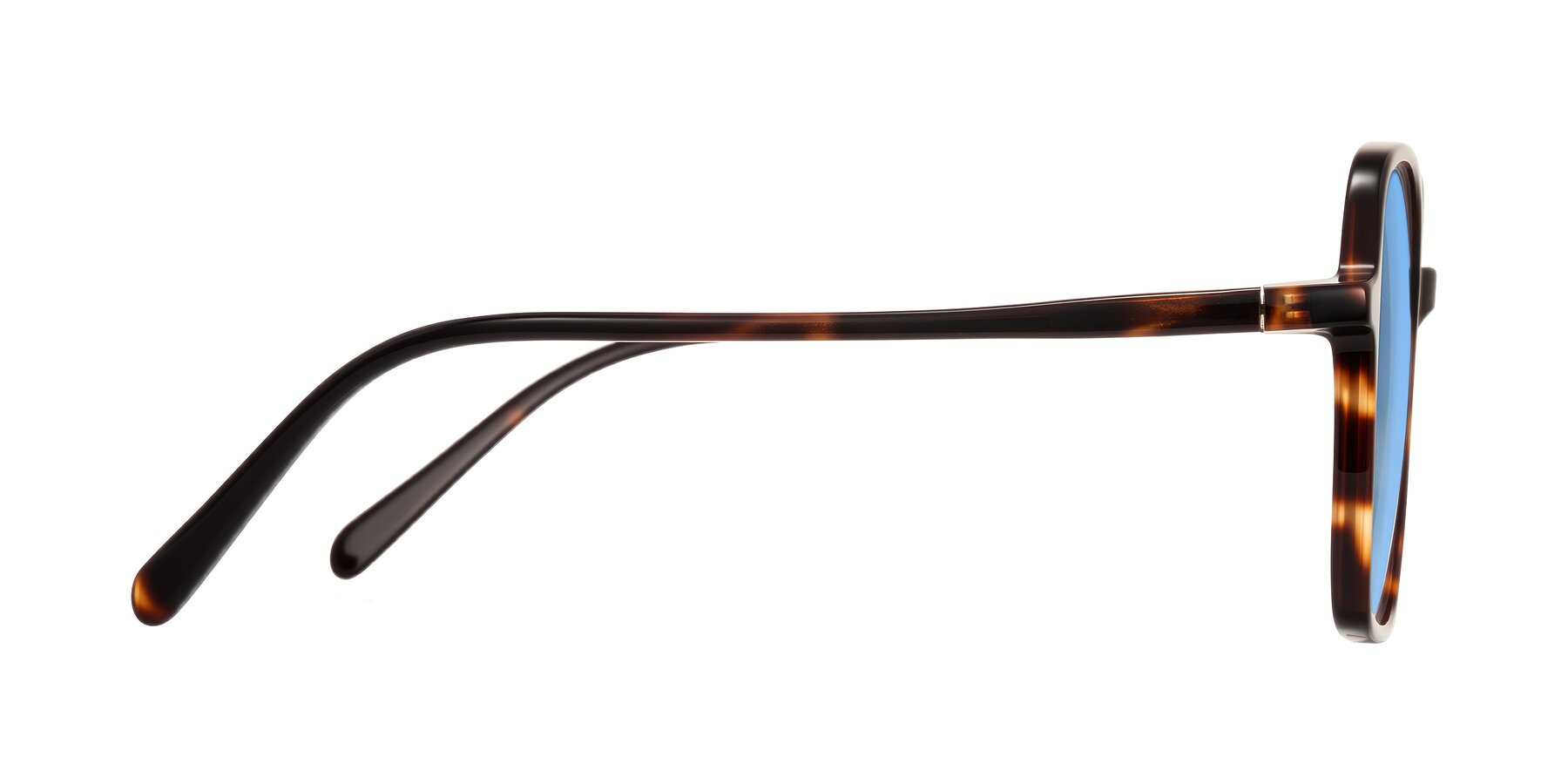 Side of O'malley in Tortoise with Medium Blue Tinted Lenses