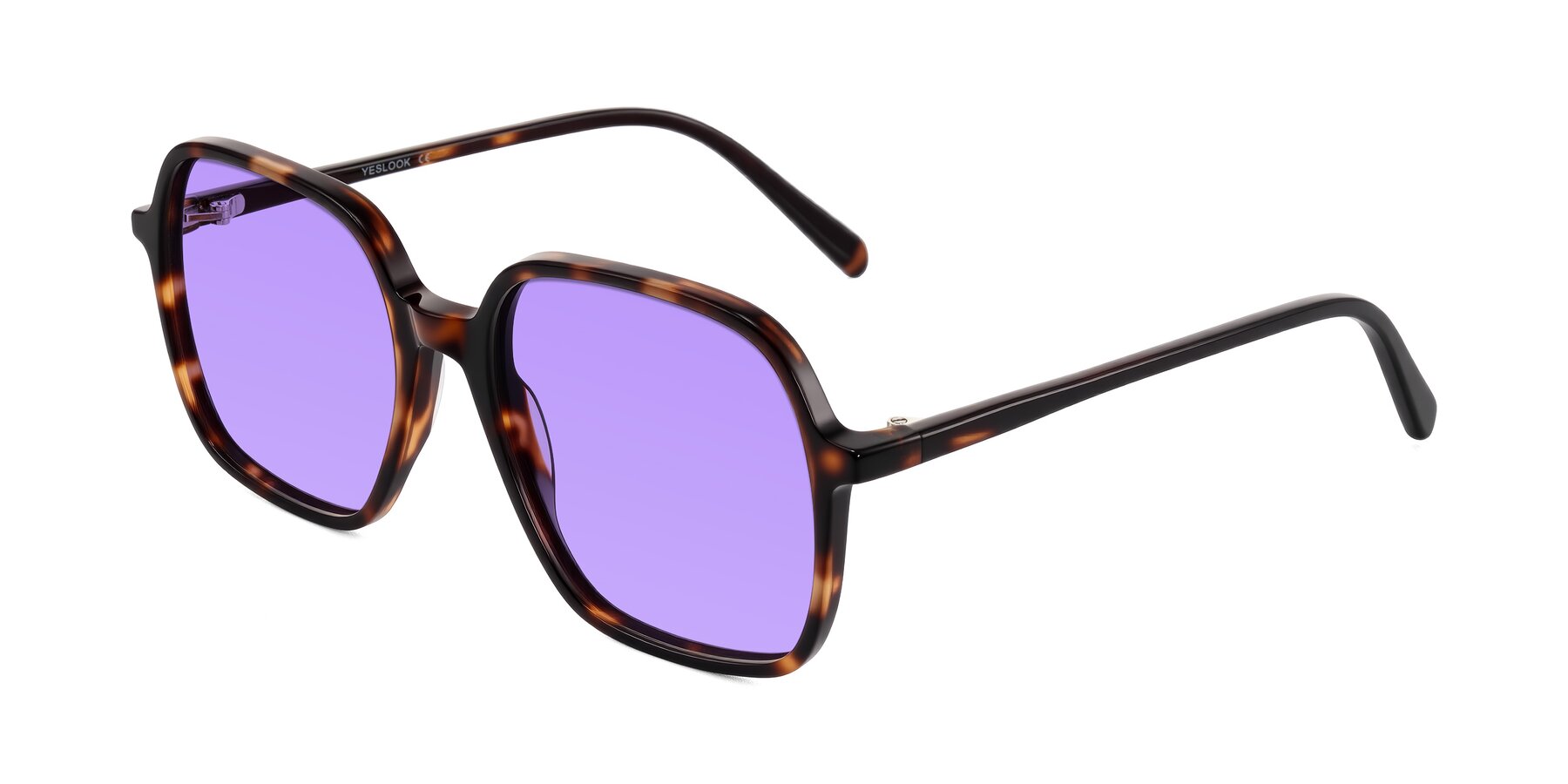 Angle of O'malley in Tortoise with Medium Purple Tinted Lenses