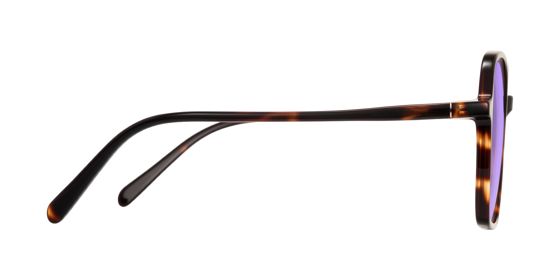 Side of O'malley in Tortoise with Medium Purple Tinted Lenses