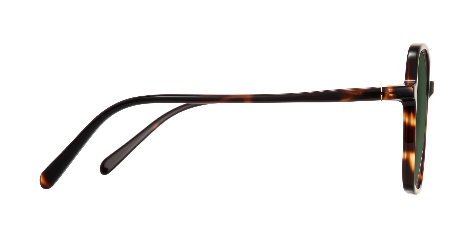 Side of O'malley in Tortoise with Green Tinted Lenses