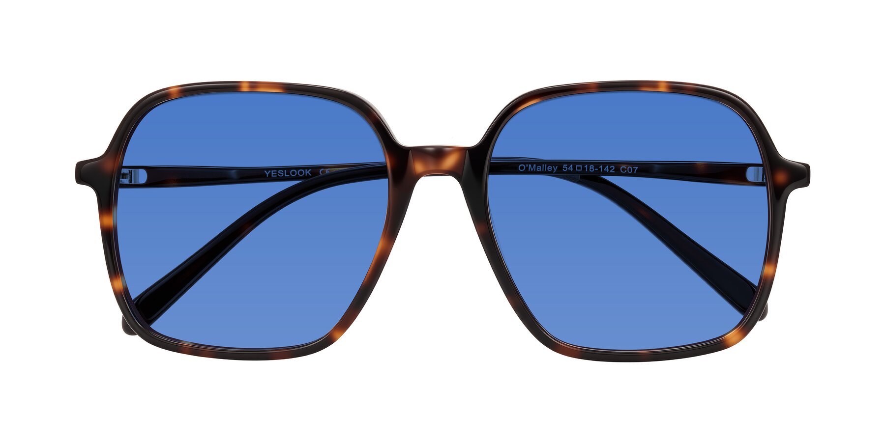 Folded Front of O'malley in Tortoise with Blue Tinted Lenses