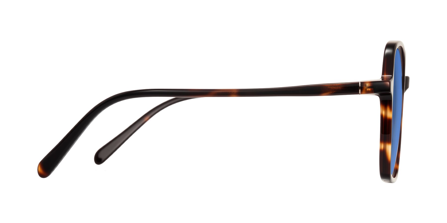 Side of O'malley in Tortoise with Blue Tinted Lenses