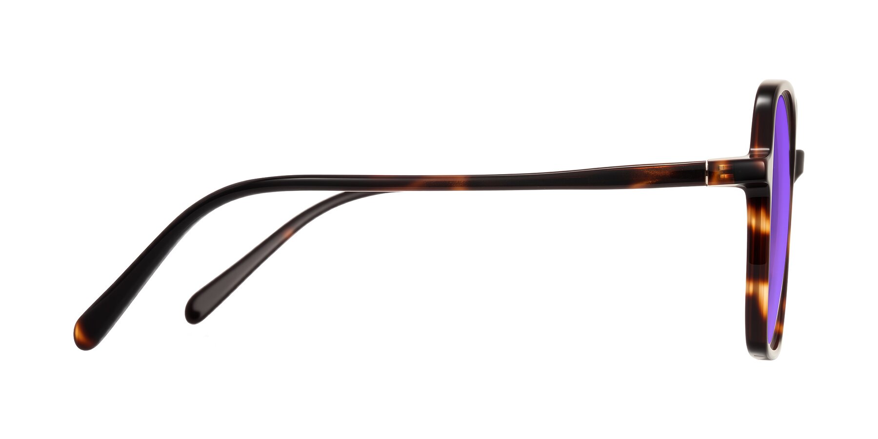 Side of O'malley in Tortoise with Purple Tinted Lenses