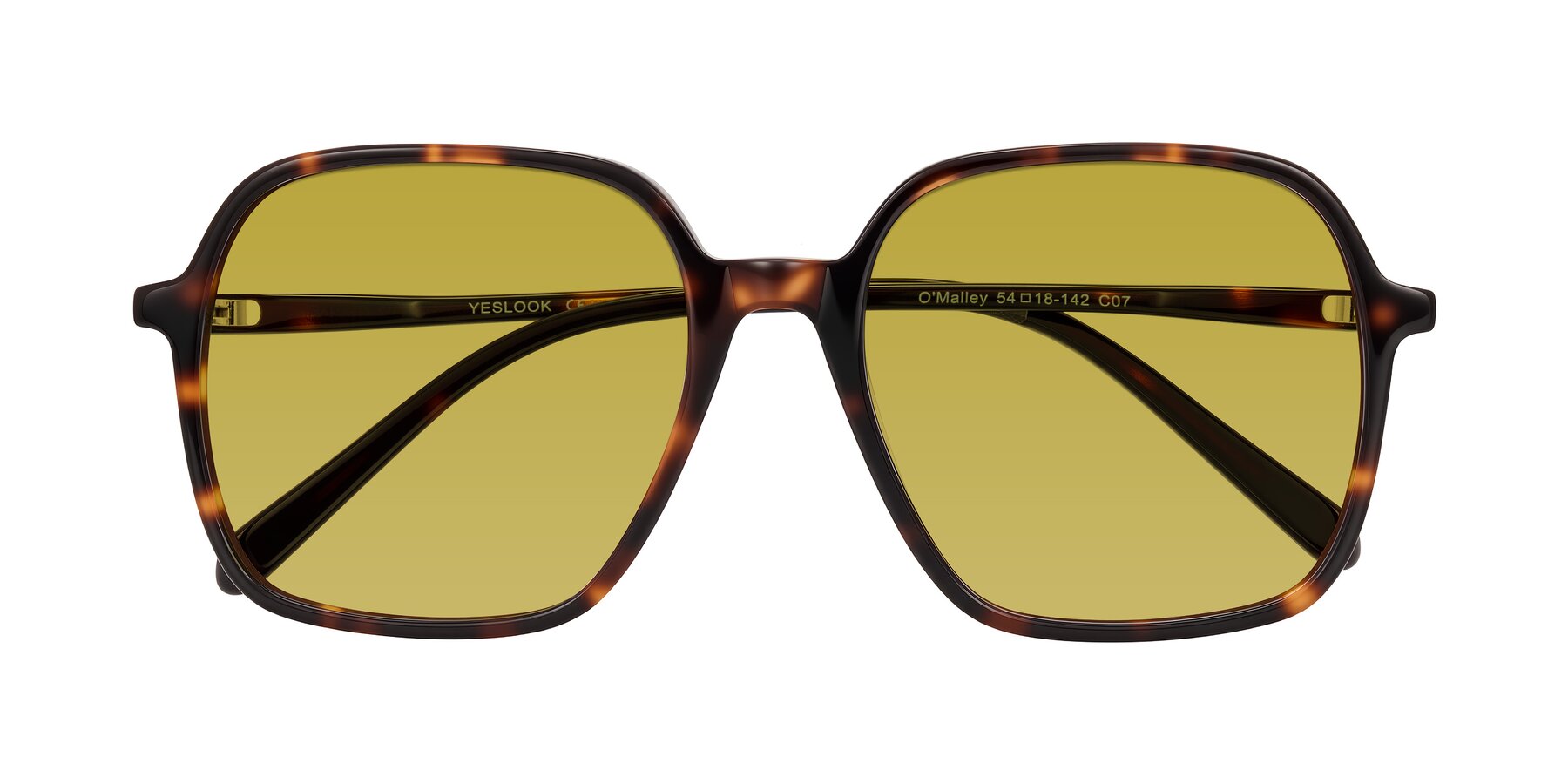 Folded Front of O'malley in Tortoise with Champagne Tinted Lenses
