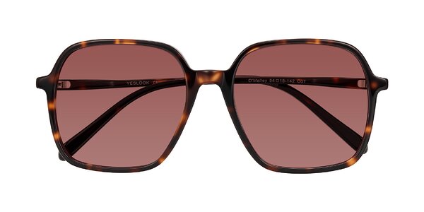 Front of O'malley in Tortoise