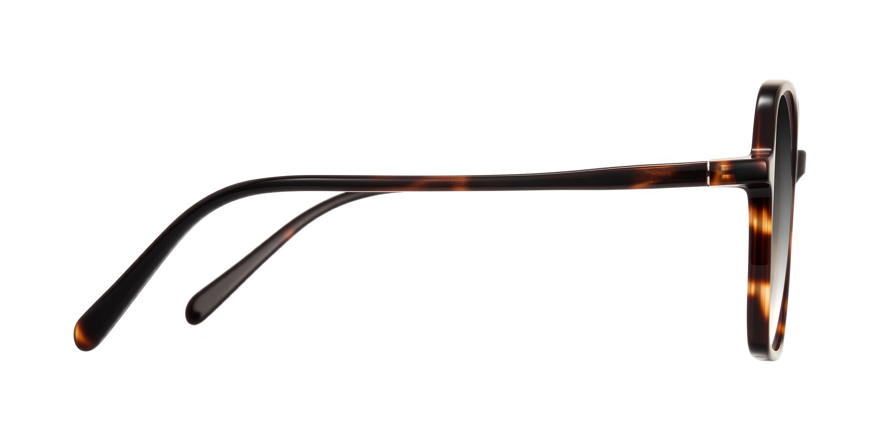 Side of O'malley in Tortoise with Gray Gradient Lenses