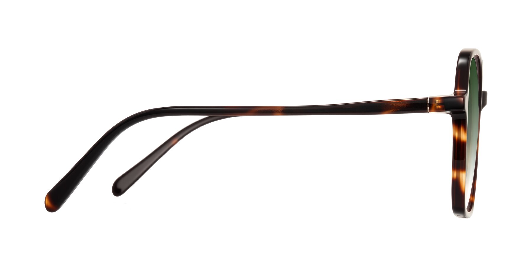 Side of O'malley in Tortoise with Green Gradient Lenses