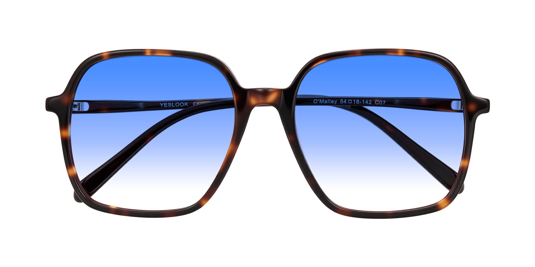 Folded Front of O'malley in Tortoise with Blue Gradient Lenses