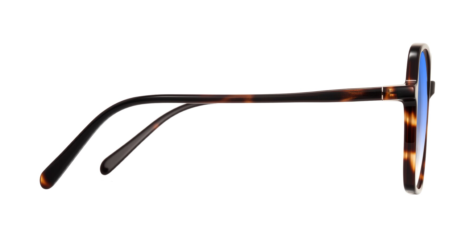 Side of O'malley in Tortoise with Blue Gradient Lenses