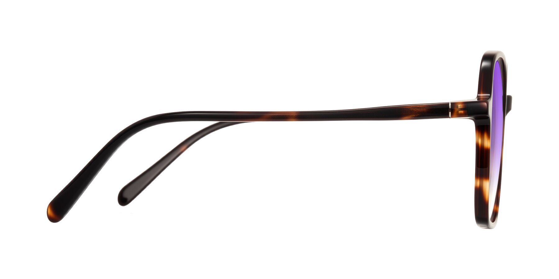 Side of O'malley in Tortoise with Purple Gradient Lenses