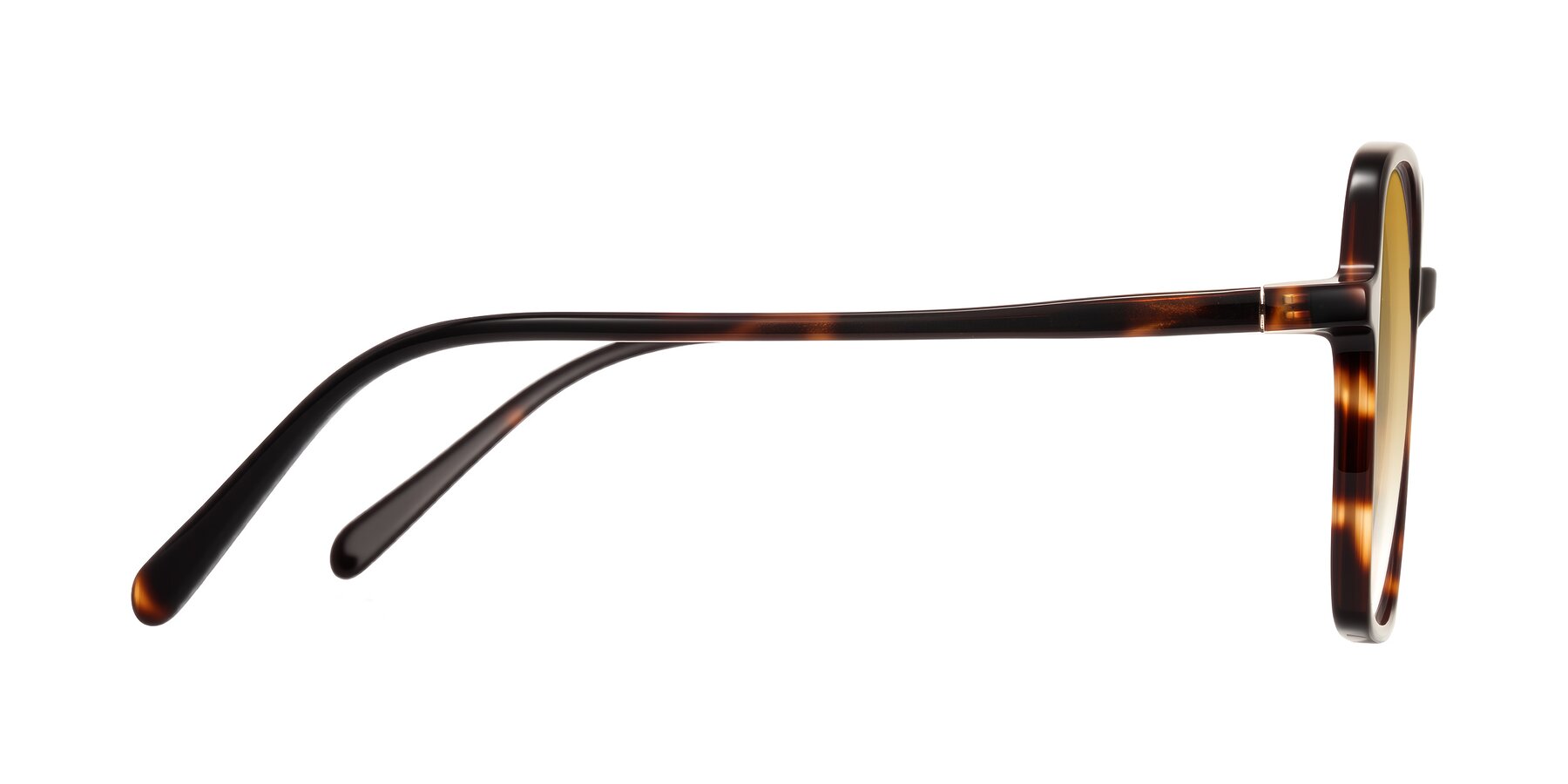 Side of O'malley in Tortoise with Champagne Gradient Lenses