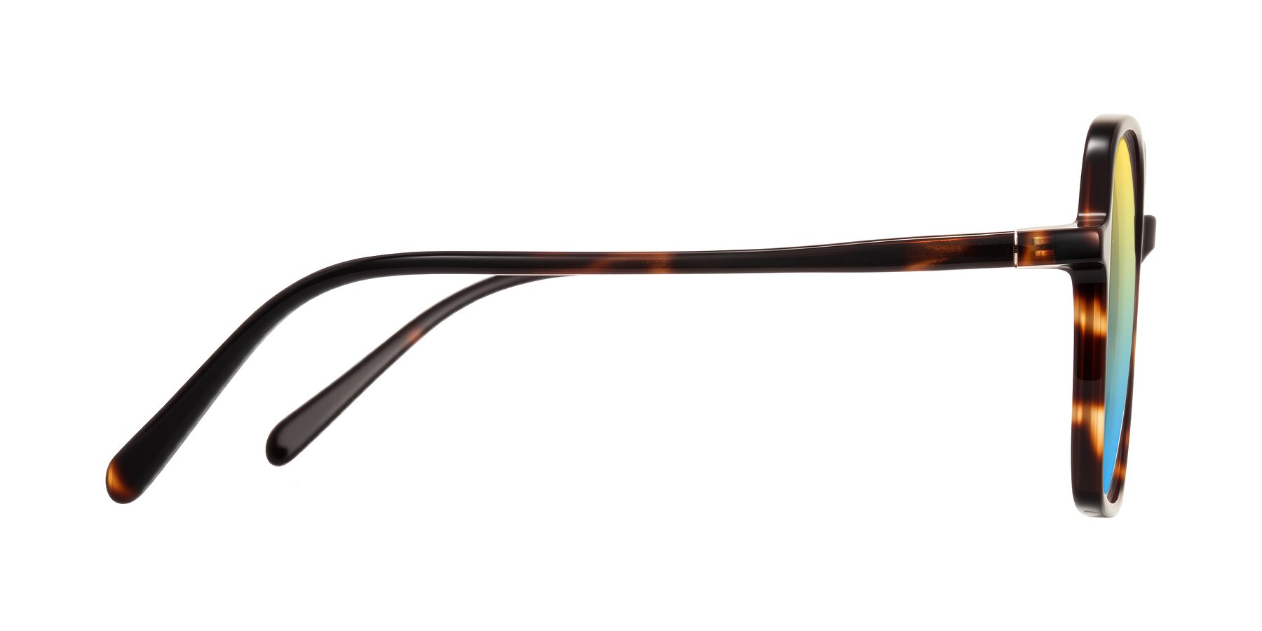 Side of O'malley in Tortoise with Yellow / Blue Gradient Lenses