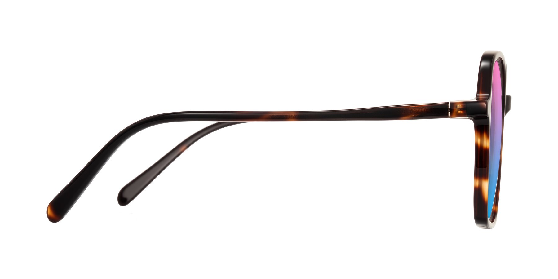 Side of O'malley in Tortoise with Pink / Blue Gradient Lenses