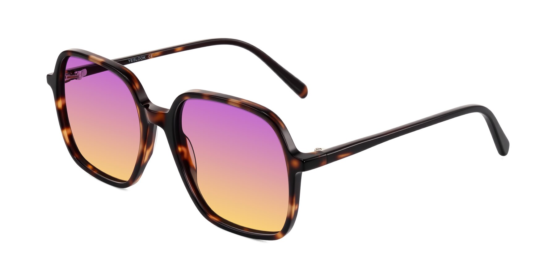 Angle of O'malley in Tortoise with Purple / Yellow Gradient Lenses
