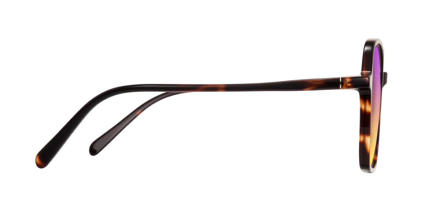 Side of O'malley in Tortoise with Purple / Yellow Gradient Lenses