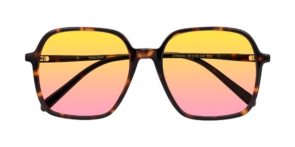 Front of O'malley in Tortoise