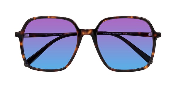 Front of O'malley in Tortoise