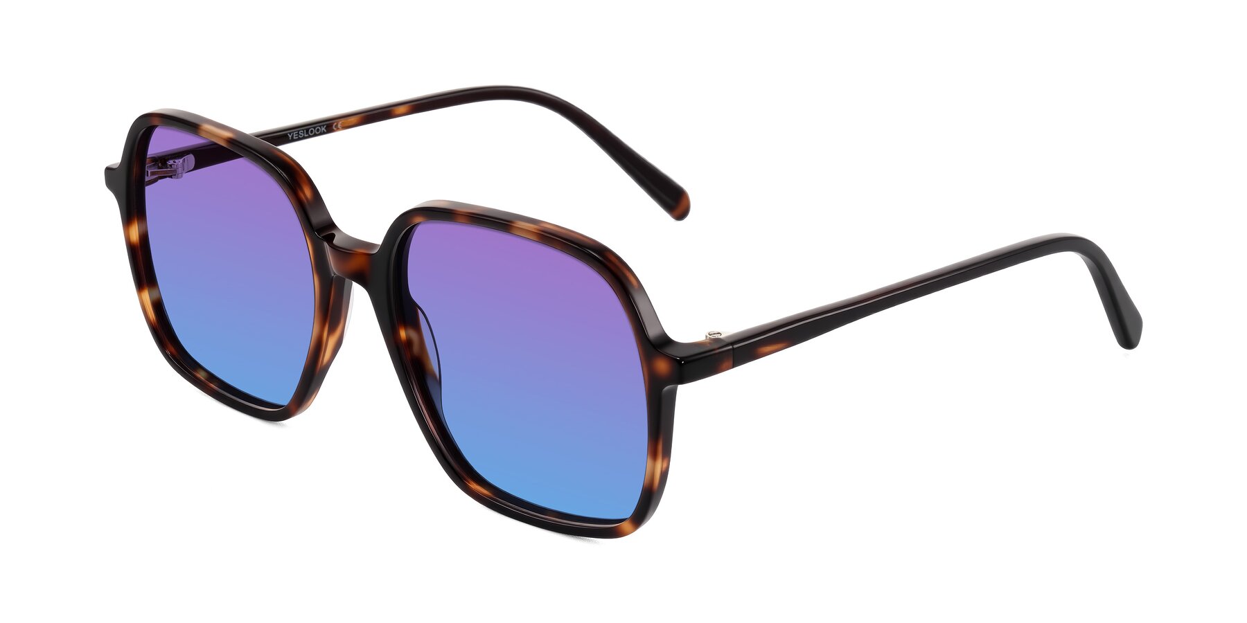 Angle of O'malley in Tortoise with Purple / Blue Gradient Lenses