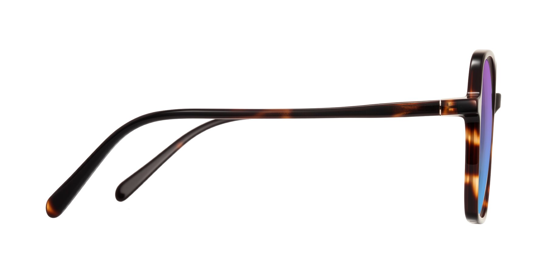 Side of O'malley in Tortoise with Purple / Blue Gradient Lenses