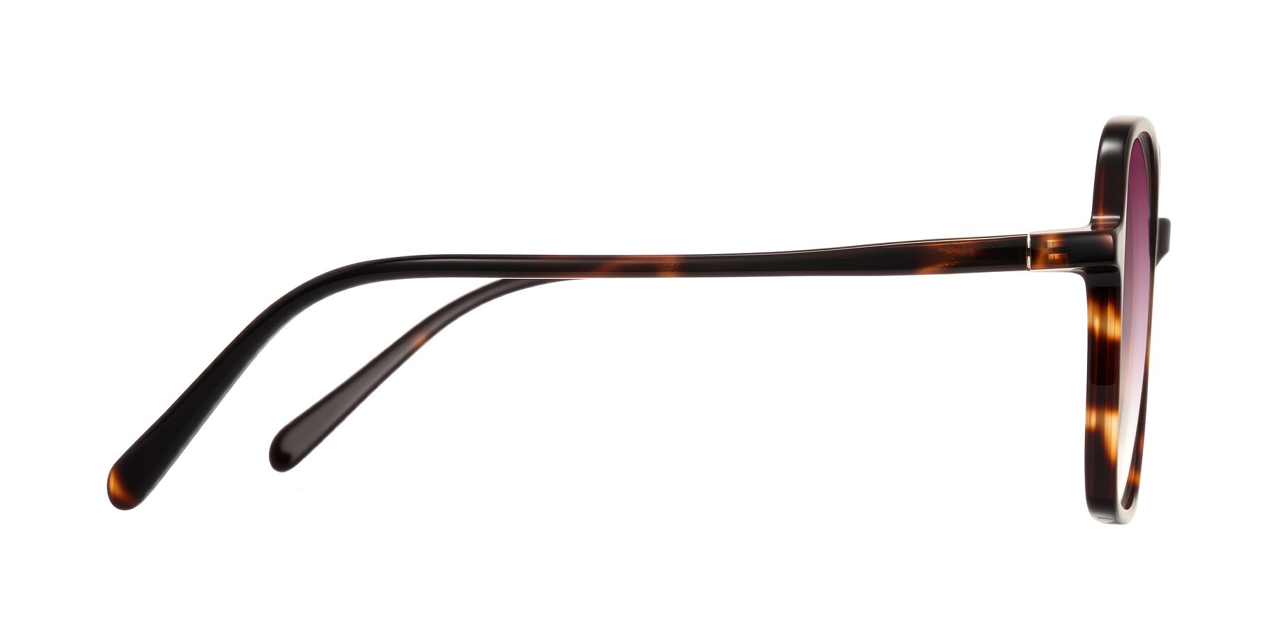 Side of O'malley in Tortoise with Wine Gradient Lenses