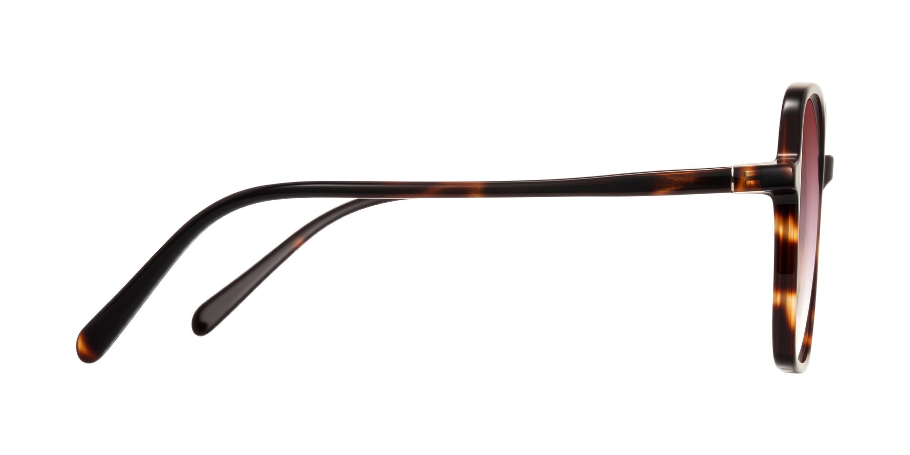 Side of O'malley in Tortoise with Garnet Gradient Lenses