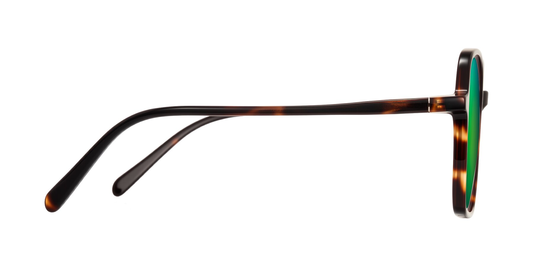 Side of O'malley in Tortoise with Green Mirrored Lenses