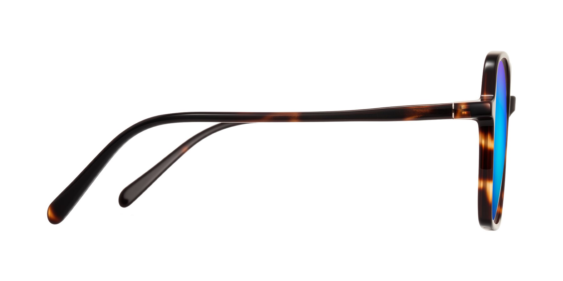 Side of O'malley in Tortoise with Blue Mirrored Lenses
