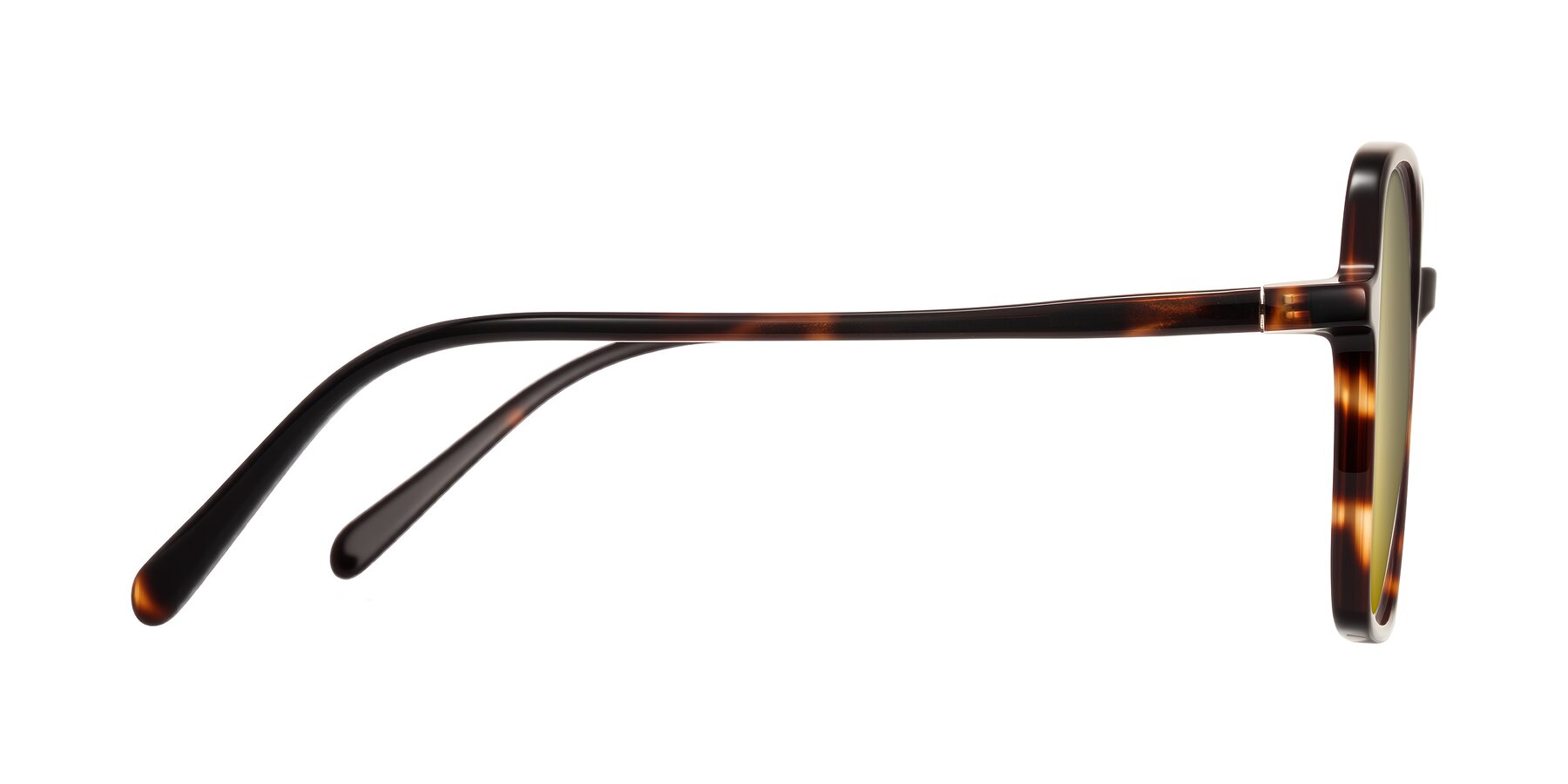 Side of O'malley in Tortoise with Gold Mirrored Lenses