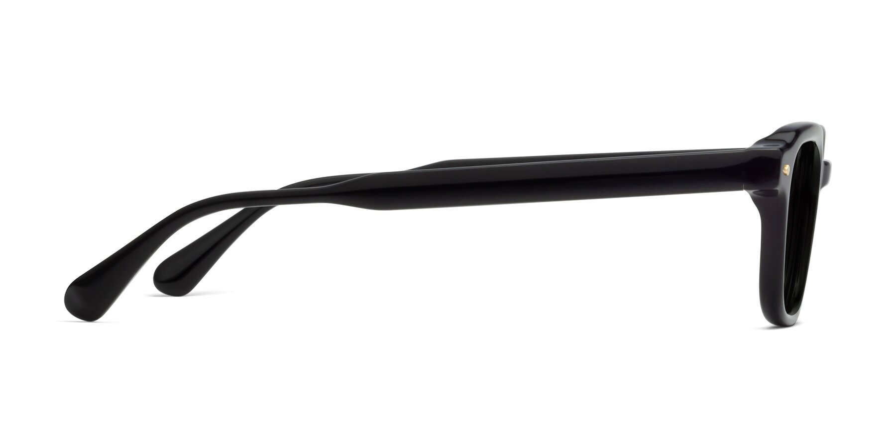 Side of 1477 in Black with Gray Polarized Lenses