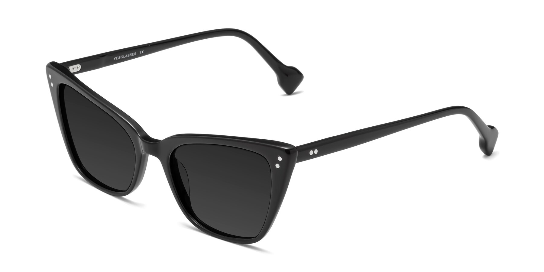 Angle of 1491 in Black with Gray Polarized TAC Lenses