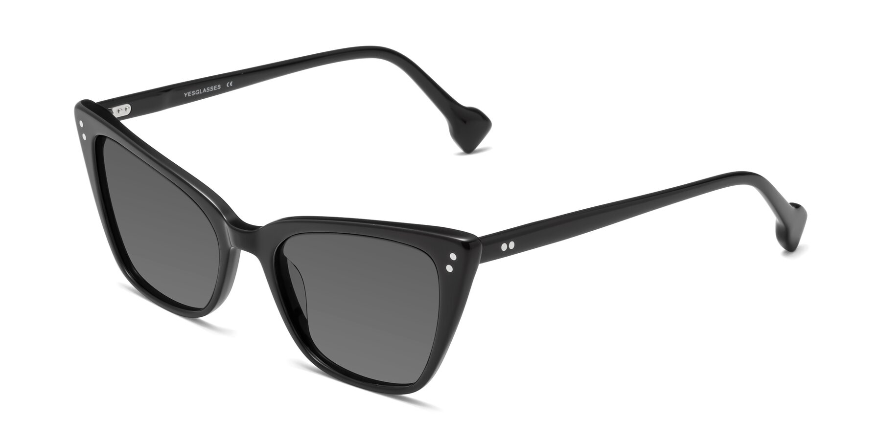 Angle of 1491 in Black with Medium Gray Tinted Lenses