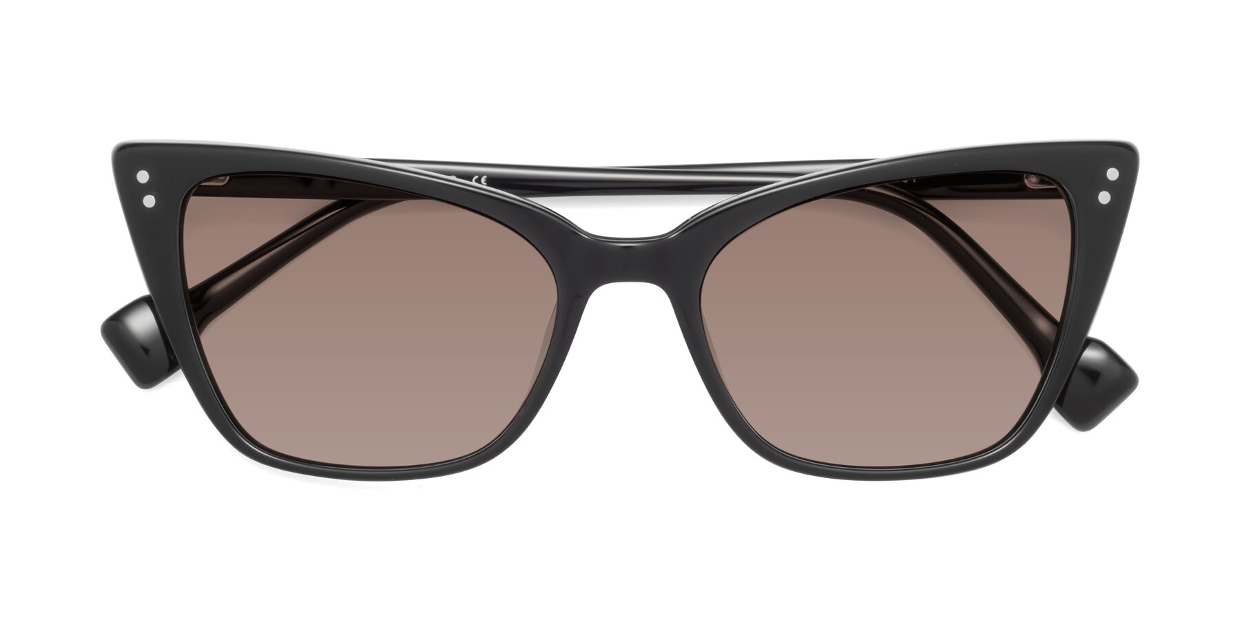 Folded Front of 1491 in Black with Medium Brown Tinted Lenses