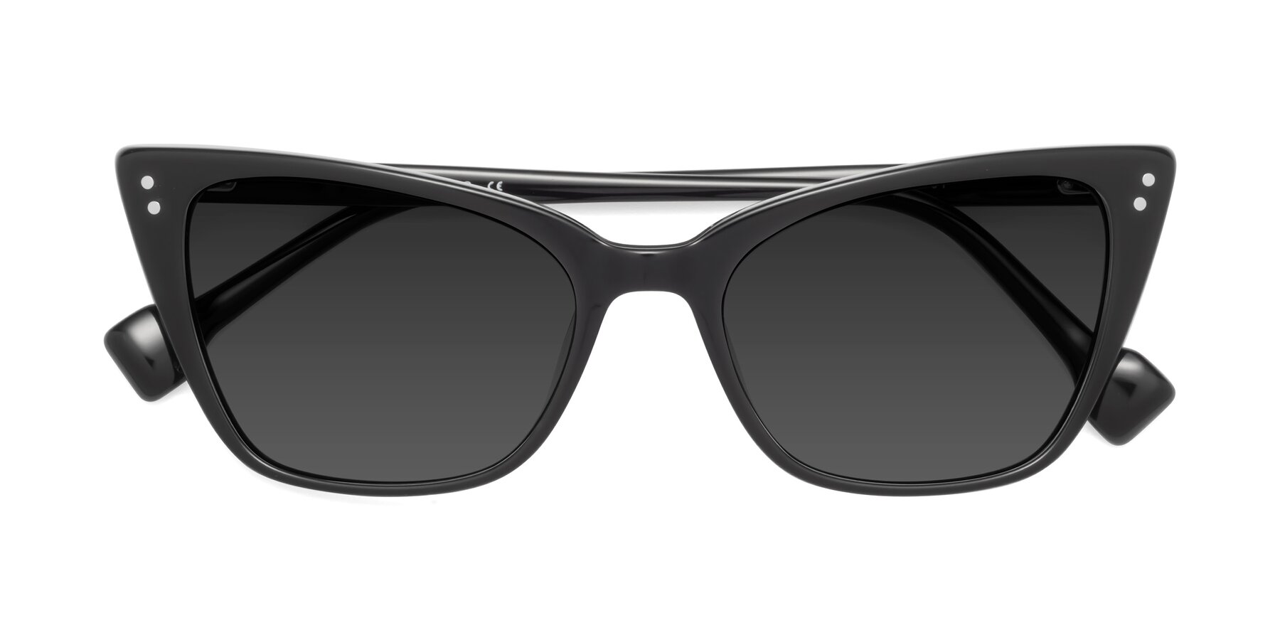 Folded Front of 1491 in Black with Gray Tinted Lenses