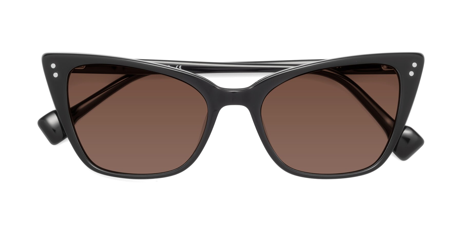 Folded Front of 1491 in Black with Brown Tinted Lenses