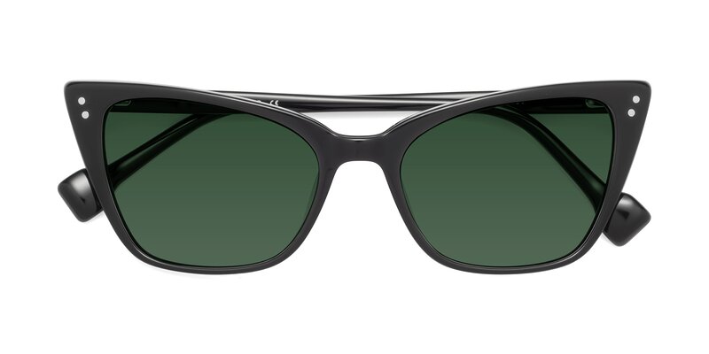 1491 - Black Tinted Sunglasses