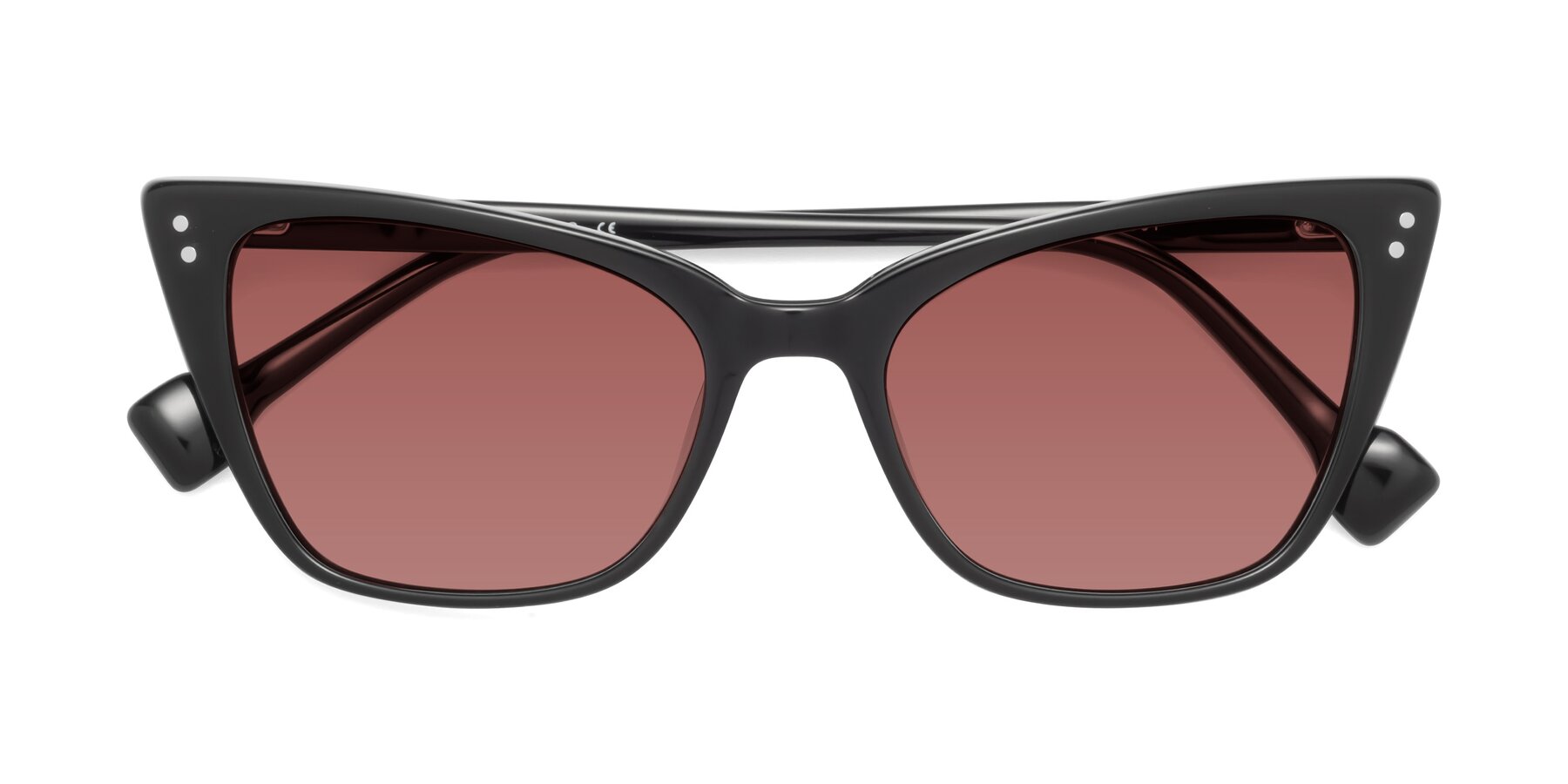 Folded Front of 1491 in Black with Garnet Tinted Lenses